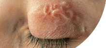 /assets_page/db1061719088ca3c2dcd8661f92cbf9595be4f52/eye.png